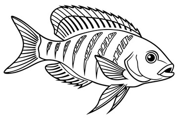 coloring page line art the cichlid fish black vector
