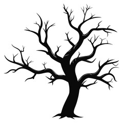 Aged Tree Branch Silhouette