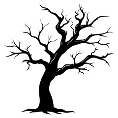 Aged Tree Branch Silhouette