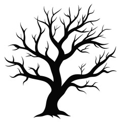 Aged Tree Branch Silhouette