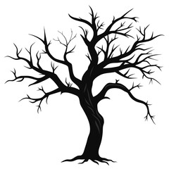 Aged Tree Branch Silhouette