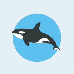 Orca illustration