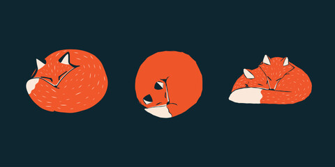 Set of curled up fox in isolated style vector autumn red fox illustration
