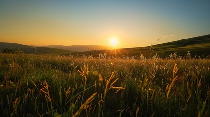 Golden Glow of Celebration: New Year Decorations Meet Grassland Sunset in Breathtaking Images
As the sun dips below the horizon, painting the grassland in hues of amber and crimson, vibrant New Year d