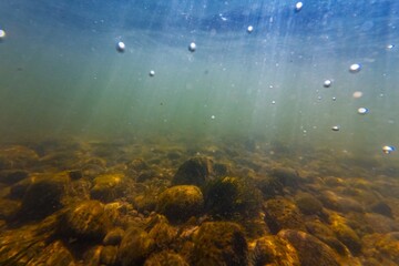 poor visibility fast flow murky water, organic particle silt sediment pebble substrate, brown alga and fontinalis moss on stone, underwater aquascape, surface reflection, shallow river Uzh in Uzhhorod