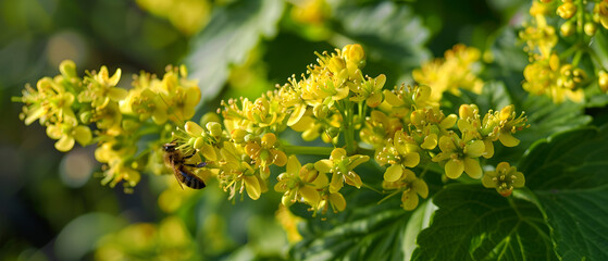 yellow flowers on a green background