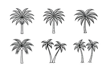 palm tree 