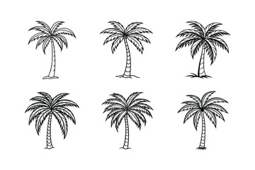 palm tree 