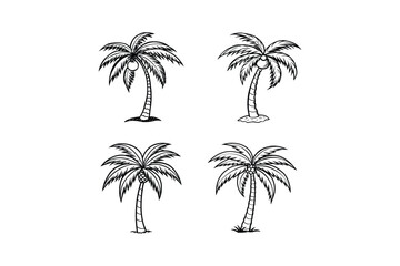 palm tree 