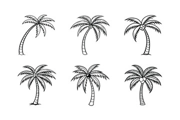 palm tree 