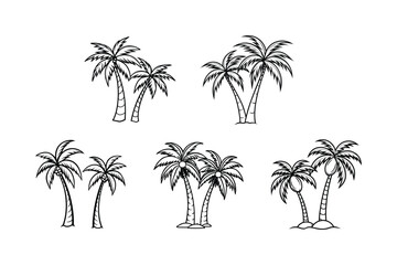 Obraz premium palm tree 