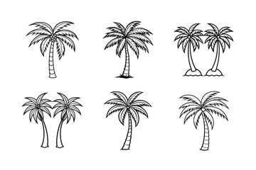palm tree 