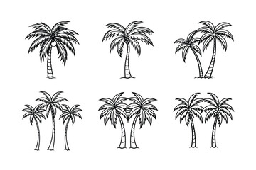Fototapeta premium palm tree 