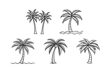 palm tree 