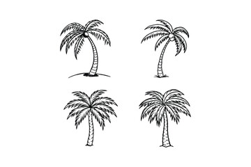 Fototapeta premium palm tree 
