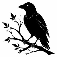 Crow Perched on Branch Silhouette