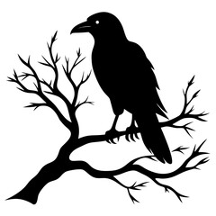 Crow Perched on Branch Silhouette