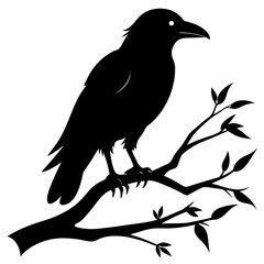 Crow Perched on Branch Silhouette