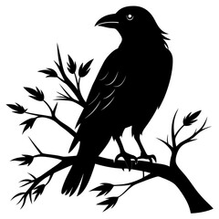 Crow Perched on Branch Silhouette