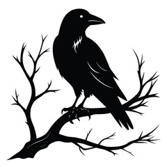 Crow Perched on Branch Silhouette