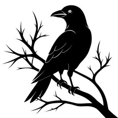 Crow Perched on Branch Silhouette