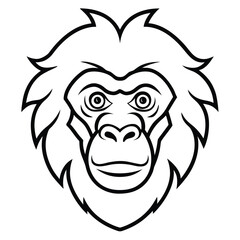 baboon baboon  head vector illustration