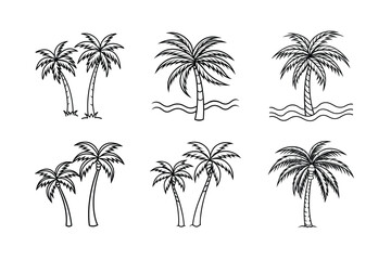 palm tree 
