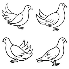 Fototapeta premium Four line drawing doves in various poses with wings partially spread and standing on their feet calmly