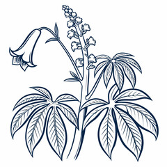 amorphophallus bulbifer with leaves