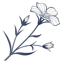 agrostemma ocean pearl on white background 