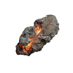 Molten Feather Imprisoned in Volcanic Rock Abstract Surrealism