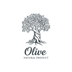Naklejka premium Olive tree logo icon design vector template