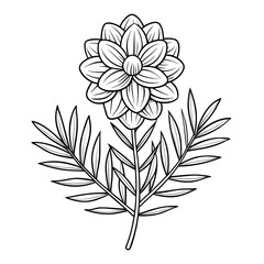 vector floral background