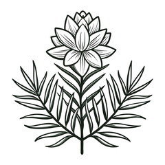 black and white flower