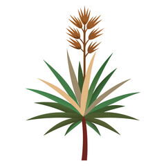 yucca flower isolated on white