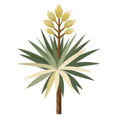 yucca flower isolated on white