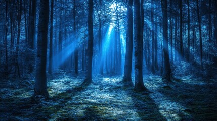 Obraz premium Enchanting Blue Forest with Rays of Light Illuminating the Ground Surrounded by Tall Trees in a Mysterious Atmosphere