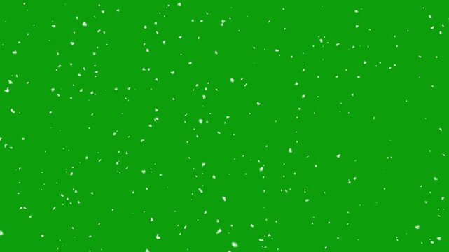 christmas snow winter holiday green screen alpha channel 4k video. Snow falling on green screen background, Isolated falling snow snowflakes on chroma key green screen alpha channel background. - Powered by Adobe