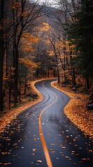Obraz premium Autumnal Road Winding Through a Forest