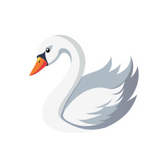 swan on a white background