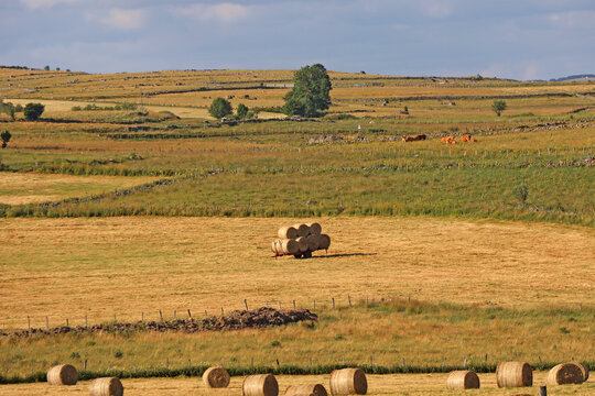 Paysage de fanaison en pleine campagne