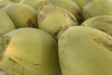 Pilha de coco verde. Cocos verdes enfileirados um do lado do outro