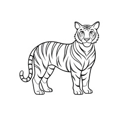 tiger vector illustration