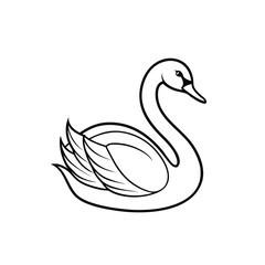 white swan on a white background