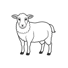 black and white sheep isolated