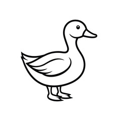 duck vector illustration