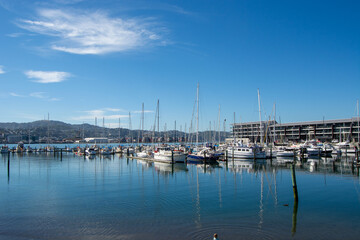 Serene Marina with Sailboats and Clear Blue Sky