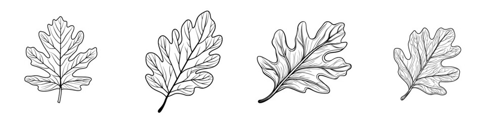 Fototapeta premium A continuous line hand-drawn design featuring beautiful black and white line flowers is suitable for greeting cards and holiday invitations, presented as a raster line illustration