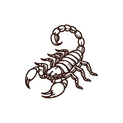 Detailed illustration of a scorpion in a minimalist style, showcasing its features and anatomy
