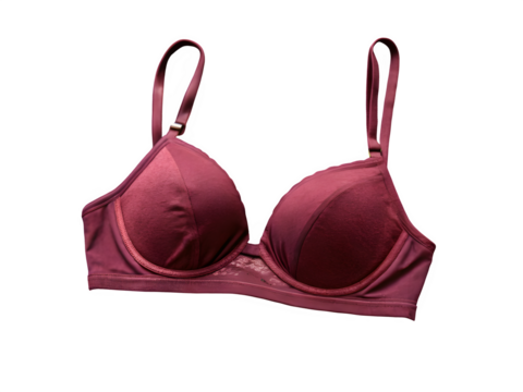 Maroon bra for smart girls and ladies . New fashion cloths for womens isolated on transparent background.